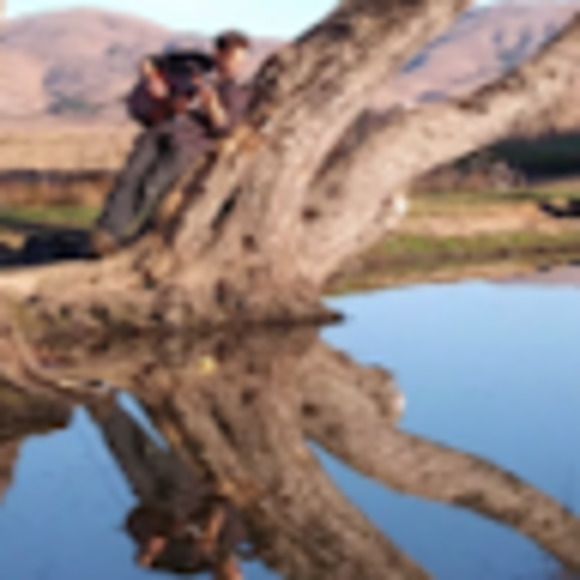 Meet your Posher, Rallo - Picture 1 of 1